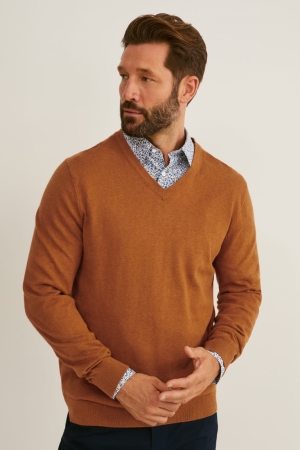 C&A And Regular Fit Button-down Collar Easy-iron- Recycled Overhemd Heren Bruin Blauw | 5614IPLZR