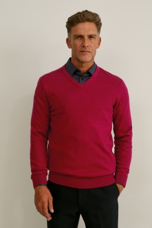 C&A And Regular Fit Easy-iron Jumpers Heren Rood Donkerblauw | 0347YWFSL