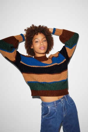 C&A Clockhouse Jumpers Dames Bruin Blauw | 3052EAWJK
