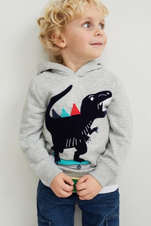 C&A Dinosaur Hoodie Meisjes Lichtgrijs | 1653UEBKS