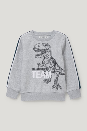 C&A Dinosaur Sweatshirts Meisjes Lichtgrijs | 7461ZOFXV
