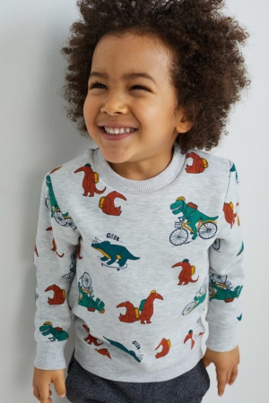C&A Dinosaur Sweatshirts Meisjes Lichtgrijs | 8693ETSGC