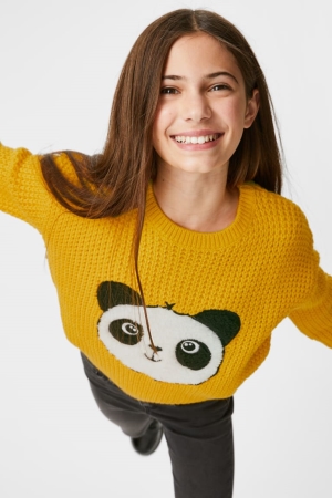 C&A Jumpers Meisjes Geel | 6495ZLGAE