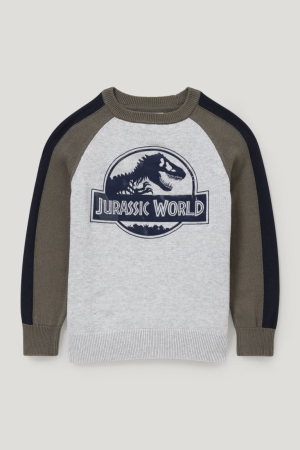 C&A Jurassic World Jumpers Meisjes Lichtgrijs | 6850CBLPT