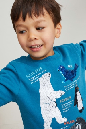 C&A Multipack Of 2 Sweatshirts Meisjes Blauw | 8062AFQOC